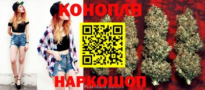 mdpv Гусь-Хрустальный