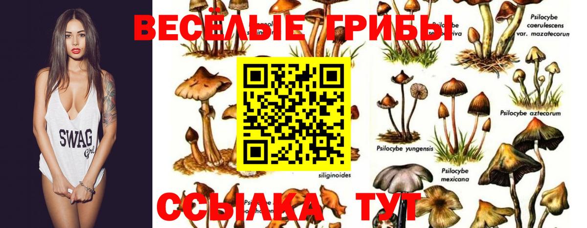 Галлюциногенные грибы Magic Shrooms  Галлюциногенные грибы мухоморы  где купить   Заречный  Вход с VPN 